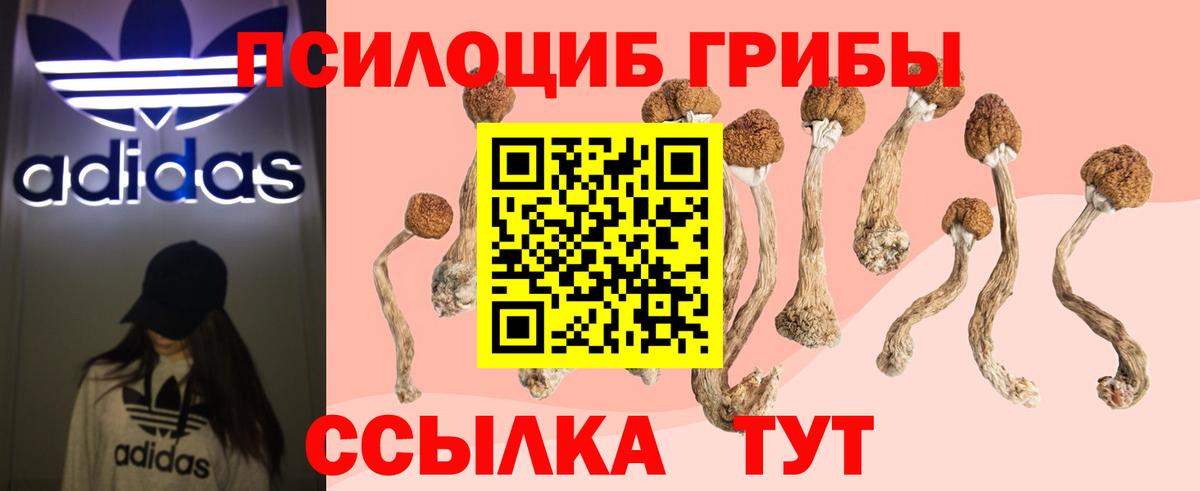 закладки  Галлюциногенные грибы мухоморы  Вход с VPN  Тулун 