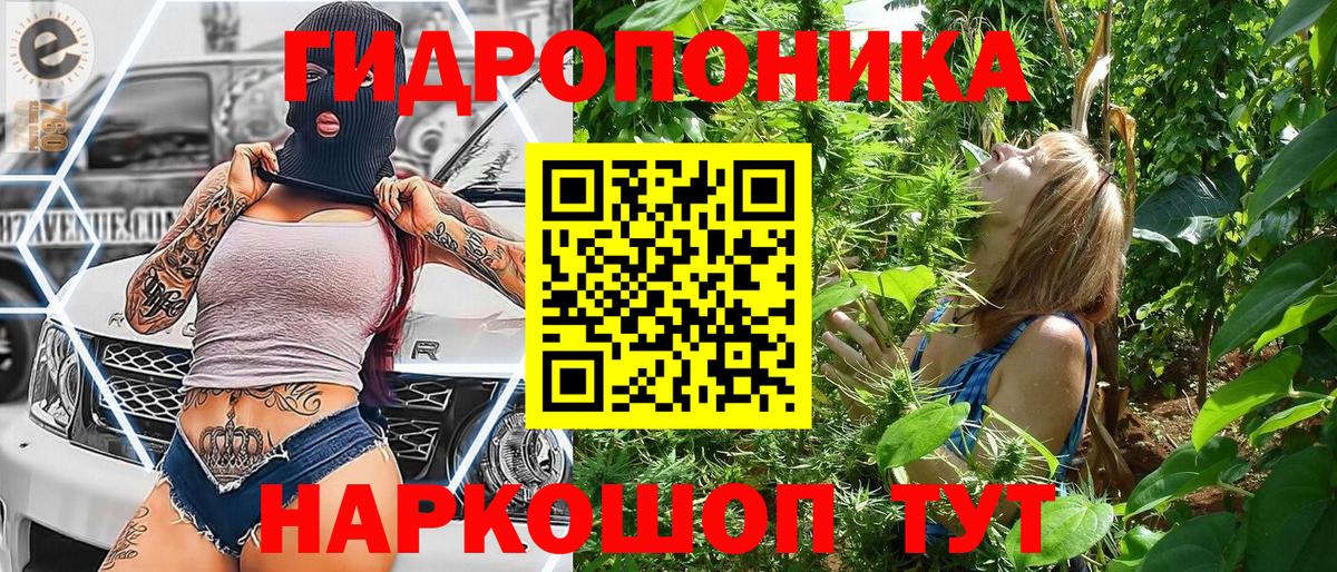 Бошки Шишки марихуана  Канабис AK-47  Вход с VPN  Тулун  Конопля THC 21% 